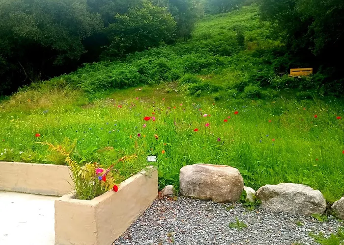 Donegal Cottage