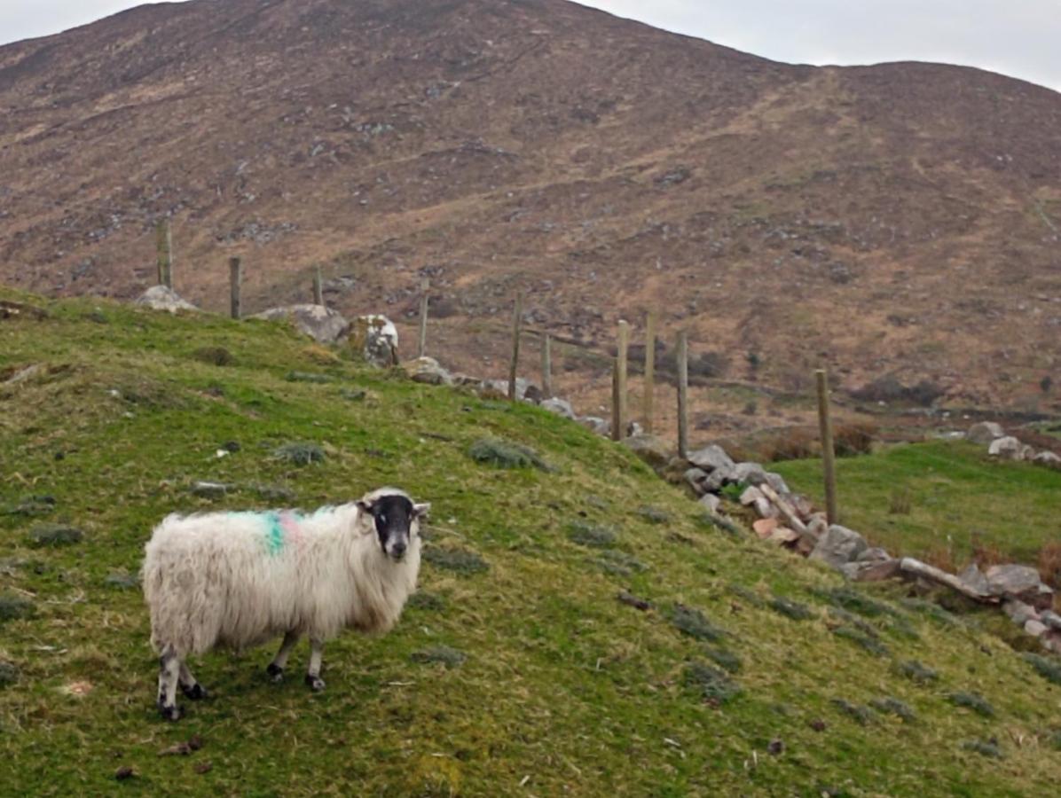 Donegal Hébergement de vacances *