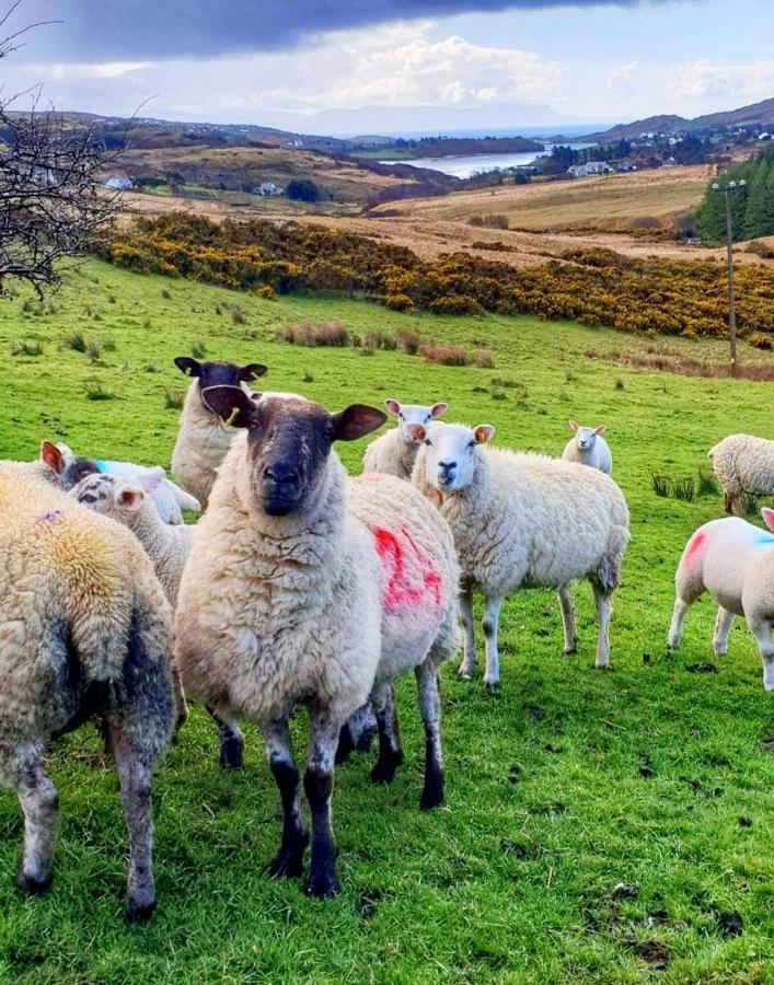 Donegal
