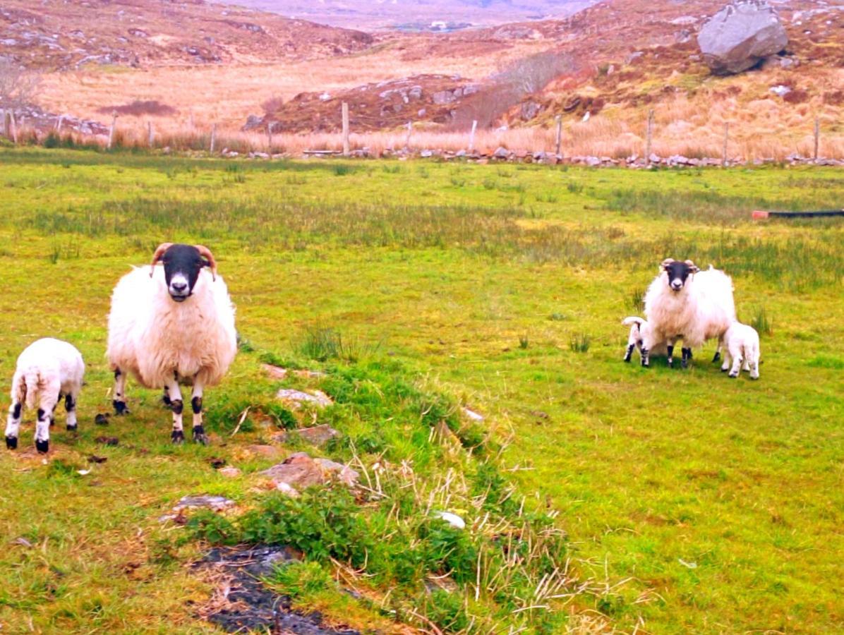 Casa vacanze Donegal Donegal Town